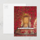Herbstrotes Laub, Neuseeland Postkarte (Vorne/Hinten)