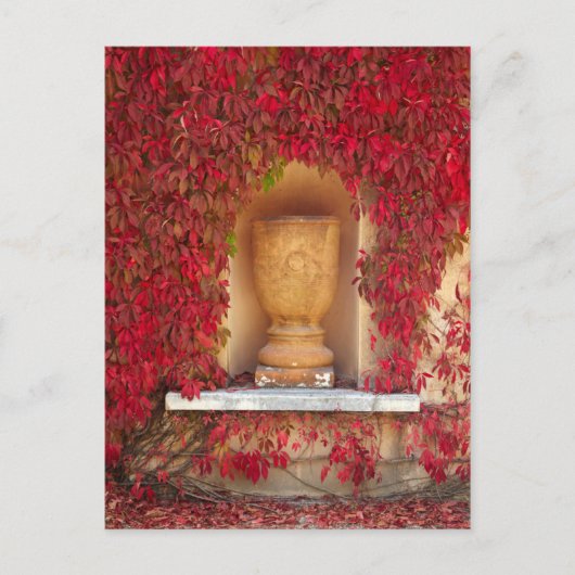 Herbstrotes Laub, Neuseeland Postkarte (Vorderseite)