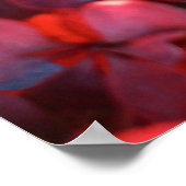 Herbstrotes violettes, lebendiges Buschblätterdach Poster (Ecke)