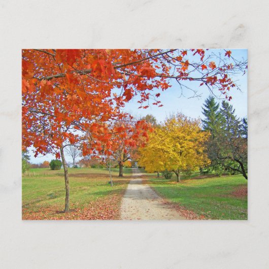 Herbstrückgang Postkarte (Vorderseite)