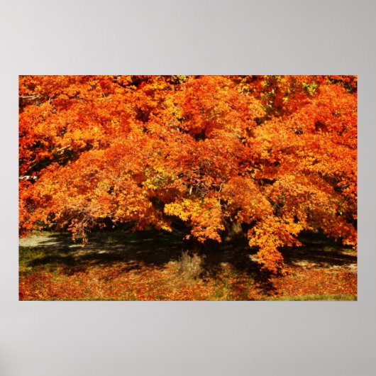 Herbstruhr Poster (Vorne)