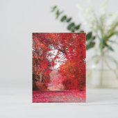 Herbstsaison Forest Park Duschgel Blätter Postkarte (Stehend Vorderseite)