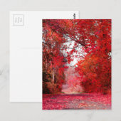 Herbstsaison Forest Park Duschgel Blätter Postkarte (Vorne/Hinten)