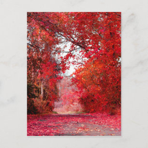 Herbstsaison Forest Park Duschgel Blätter Postkarte