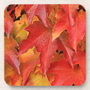 Herbstsaison Untersetzer