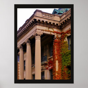 Herbstsäulen Poster