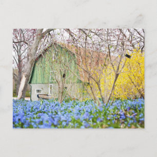 Herbstscheune mit blauem Blumenfeld Postkarte
