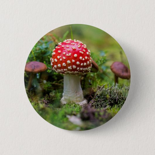 Herbstschönheit Button (Vorderseite)