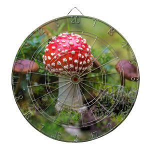 Herbstschönheit Dartscheibe