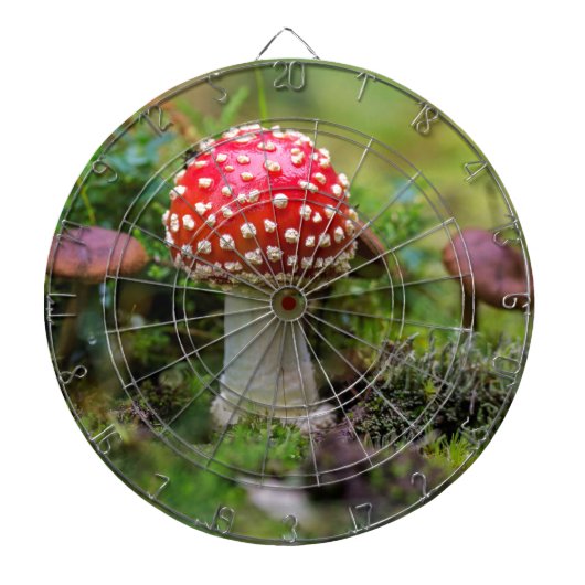Herbstschönheit Dartscheibe (vorne)