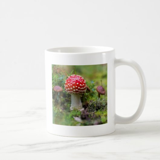 Herbstschönheit Kaffeetasse (Rechts)