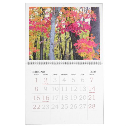 "HERBSTSCHÖNHEIT" KALENDER 2025 (Feb 2026)