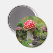 Herbstschönheit Magnet (Vorderseite/Rückseite)