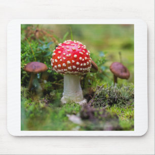 Herbstschönheit Mousepad