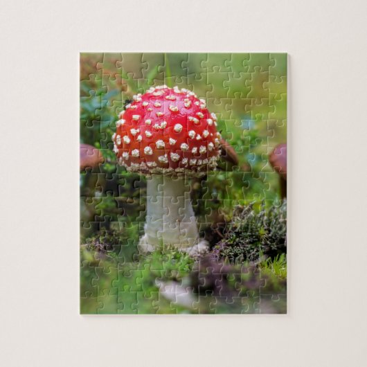 Herbstschönheit Puzzle (Vertikal)