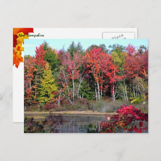 Herbstsee 2 postkarte (Vorne/Hinten)