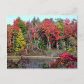 Herbstsee 2 postkarte (Vorderseite)