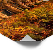 Herbstsee-Baumtunnel-Kunst Poster (Ecke)