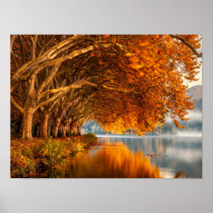 Herbstsee-Baumtunnel-Kunst Poster