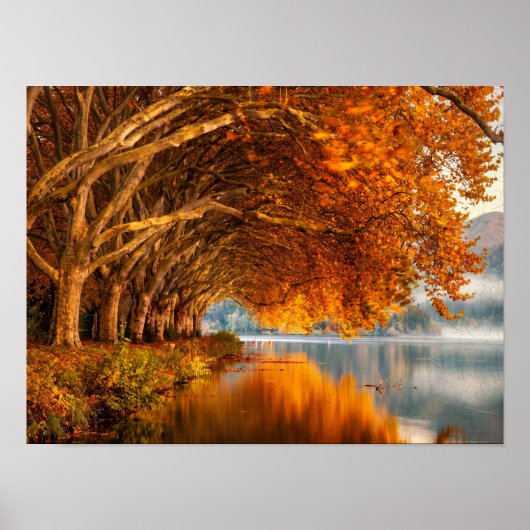 Herbstsee-Baumtunnel-Kunst Poster (Vorne)