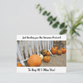 Herbstsegmente "I Miss YOU" Sprichwort Hi Postcard Postkarte (Stehend Vorderseite)