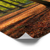 Herbstsonne im Wald Poster (Ecke)