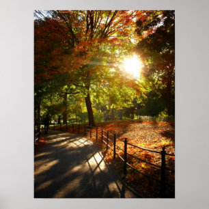 Herbstsonne im Zentralpark, NYC, Mittel Poster