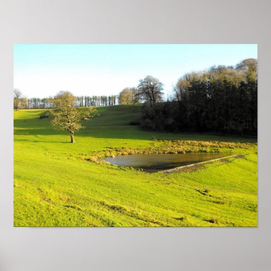 Herbstsonne in Somerset Poster (Vorne)