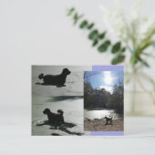 Herbstsonne mit Hund im Wasser DIY Postkarte (Stehend Vorderseite)