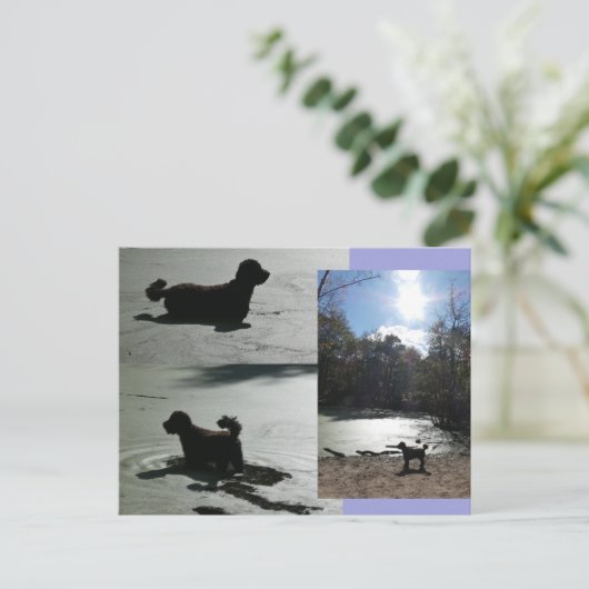 Herbstsonne mit Hund im Wasser DIY Postkarte (Stehend Vorderseite)
