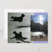 Herbstsonne mit Hund im Wasser DIY Postkarte (Vorne/Hinten)