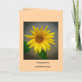 Herbstsonnenblumen Karte (Rückseite)