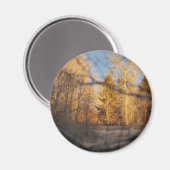 Herbstsonnenschein Magnet (Vorderseite/Rückseite)
