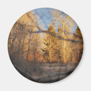 Herbstsonnenschein Magnet