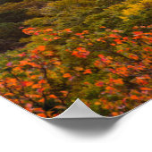 Herbstsonnenuntergang von den Bakonhöhen Poster (Ecke)