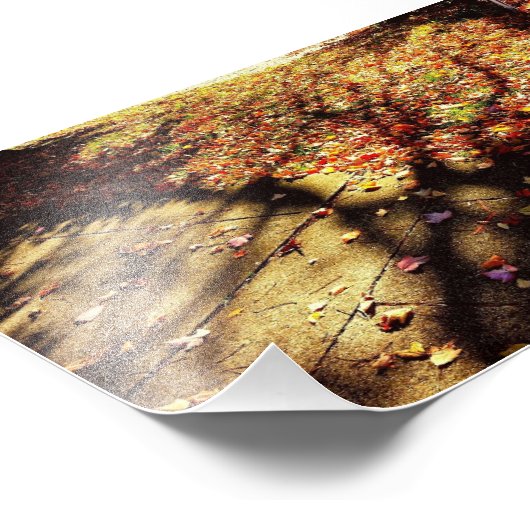 Herbstspaziergang Fotodruck (Ecke)