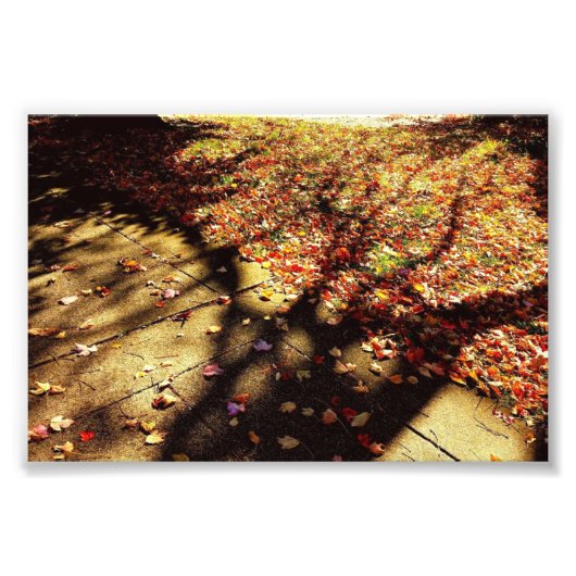 Herbstspaziergang Fotodruck (Vorne)