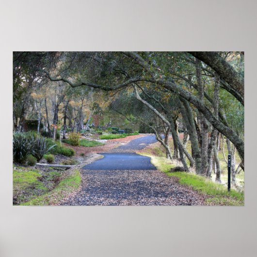 "Herbstspaziergang" Poster (Vorne)