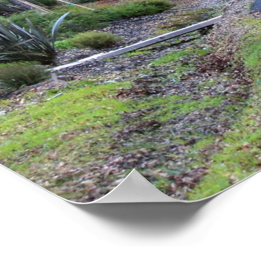 "Herbstspaziergang" Poster (Ecke)