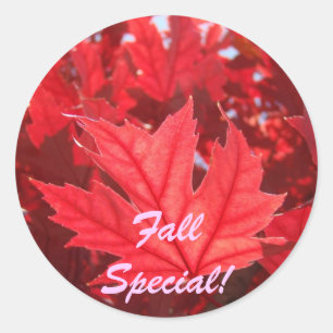 HerbstSpecial! Aufkleber Rote Herbstleaves Leaf