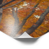 Herbststadt Fotodruck (Ecke)
