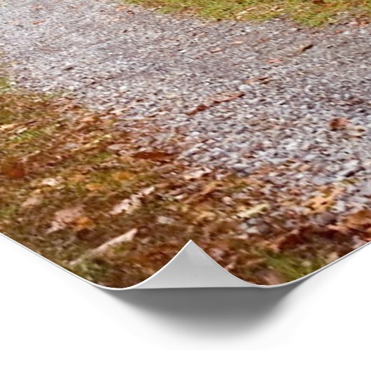 Herbststraße Poster (Ecke)