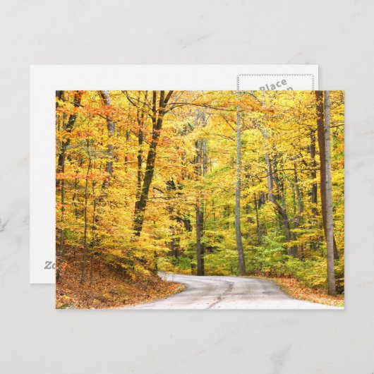 Herbststraße Postkarte (Vorne/Hinten)