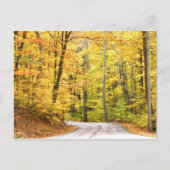 Herbststraße Postkarte (Vorderseite)