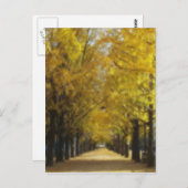 Herbststraße Postkarte (Vorne/Hinten)