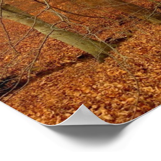 Herbststrom Poster (Ecke)