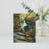 Herbstszene des Fulmer Falls Postkarte (Stehend Vorderseite)