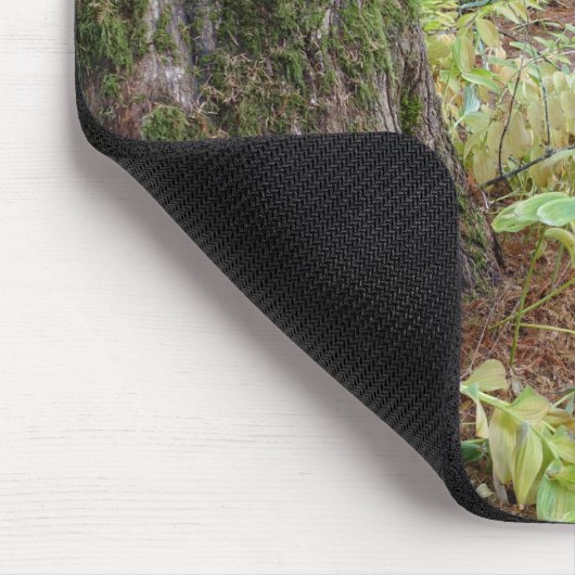 Herbstszene in einem botanischen Garten. Mousepad (Ecke)