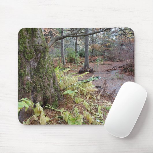 Herbstszene in einem botanischen Garten. Mousepad (Mit Mouse)