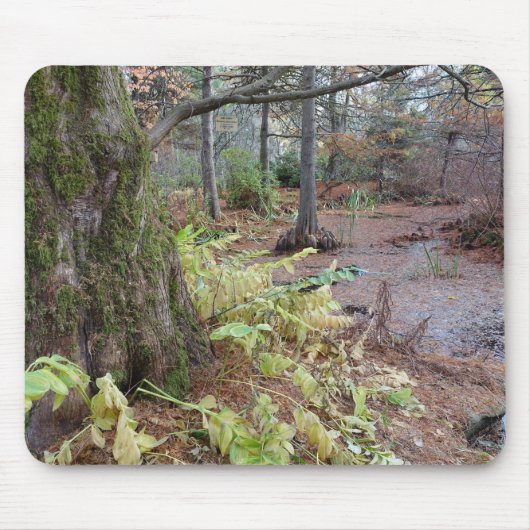 Herbstszene in einem botanischen Garten. Mousepad (Vorne)